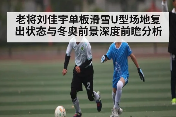 老将刘佳宇单板滑雪U型场地复出状态与冬奥前景深度前瞻分析